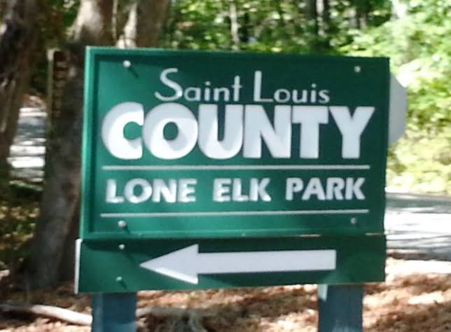 A line of Subaru Outbacks in the Sunset Hills Subaru parking lot with local Missouri foliage in the background.