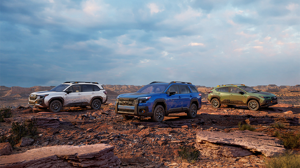 SUVs in an outdoor landscape