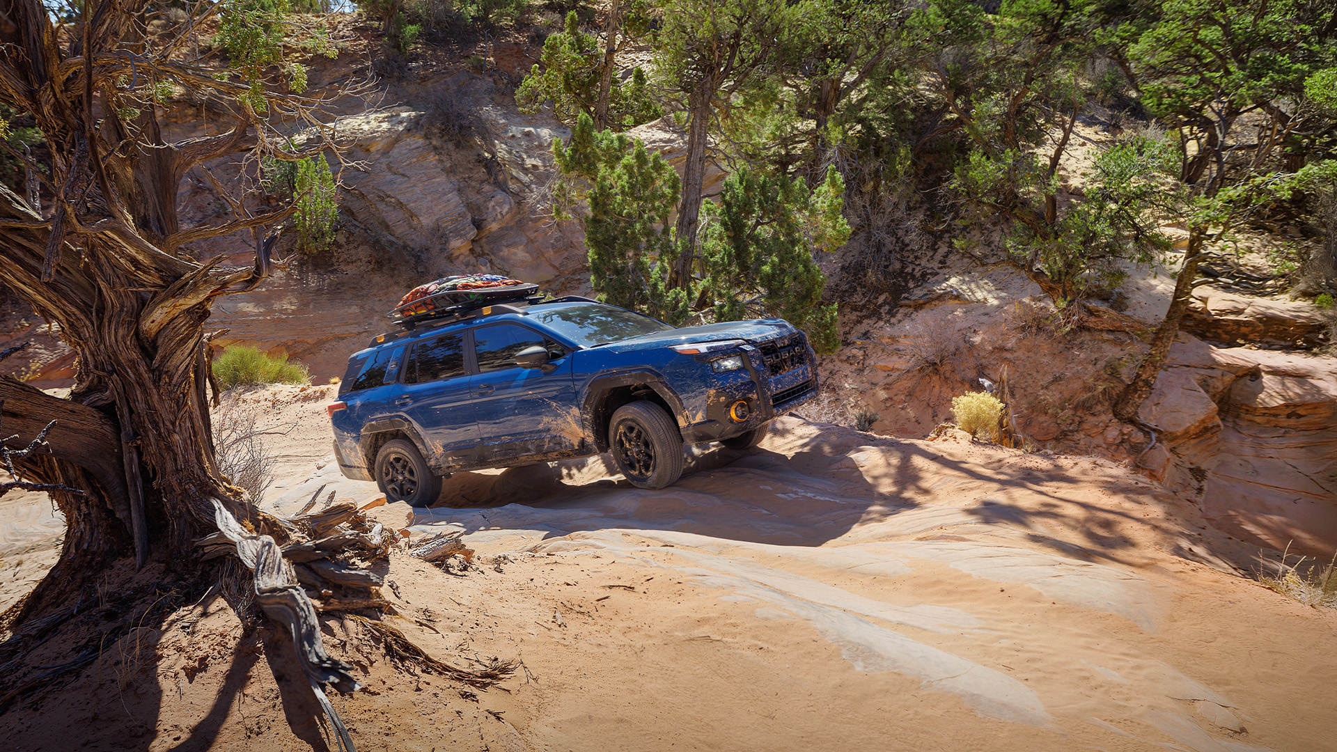 2026 Subaru Outback Wilderness in Geyser Blue