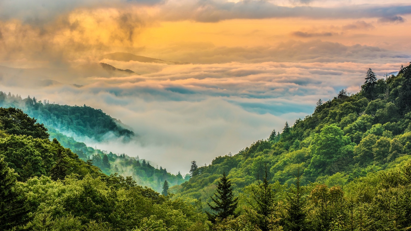 Great Smoky Mountains in Summer at Sunrise